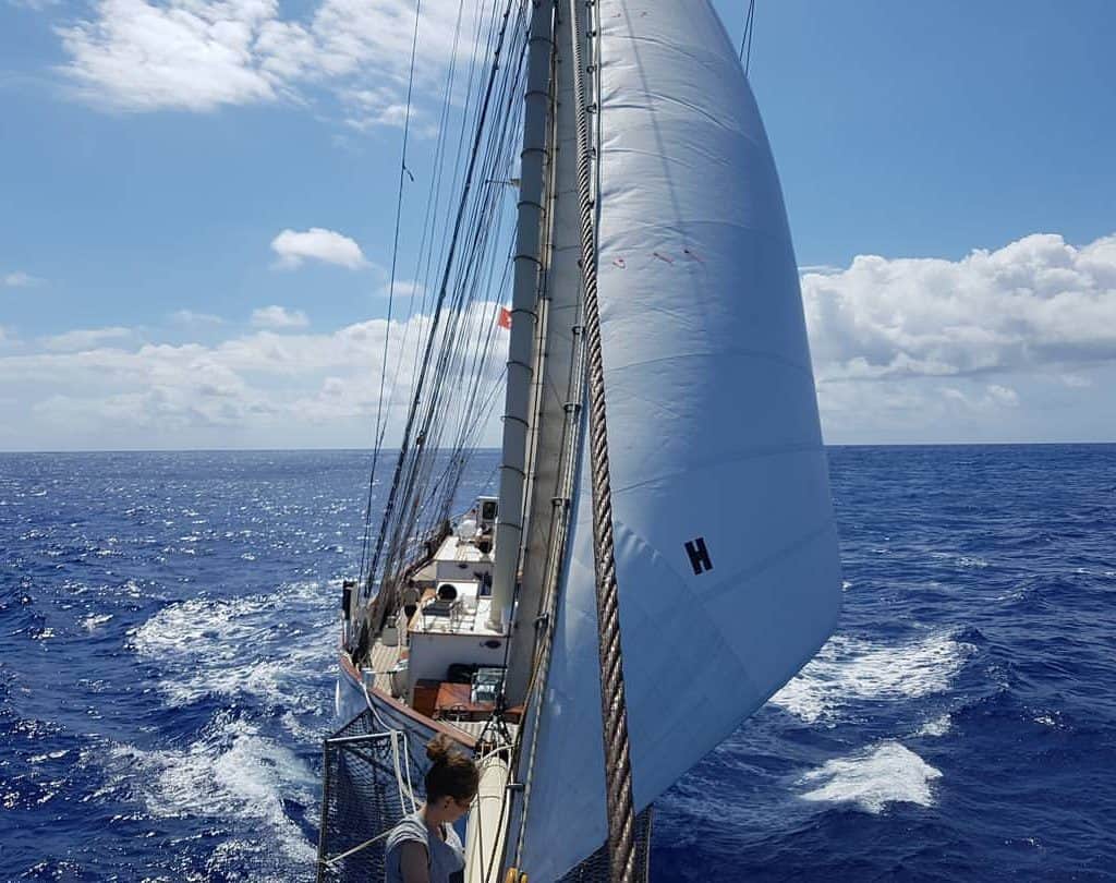 Blue Clipper sails the waters of the Arctic and the Caribbean. 