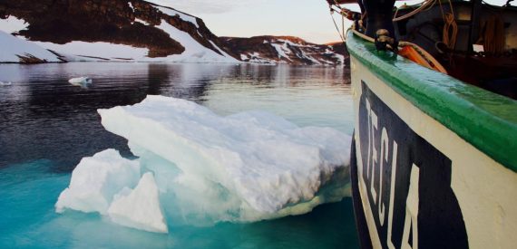 Tecla sailing through icy waters on a Classic Sailing adventure holiday. The nameplate of the ship with the green capping rail can be seen in the bright light as the ship slowly noses through the ice,