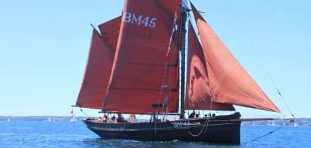 red sails on brixham trawler Pilgrim
