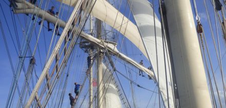 Sailing on Tall ship Tenacious