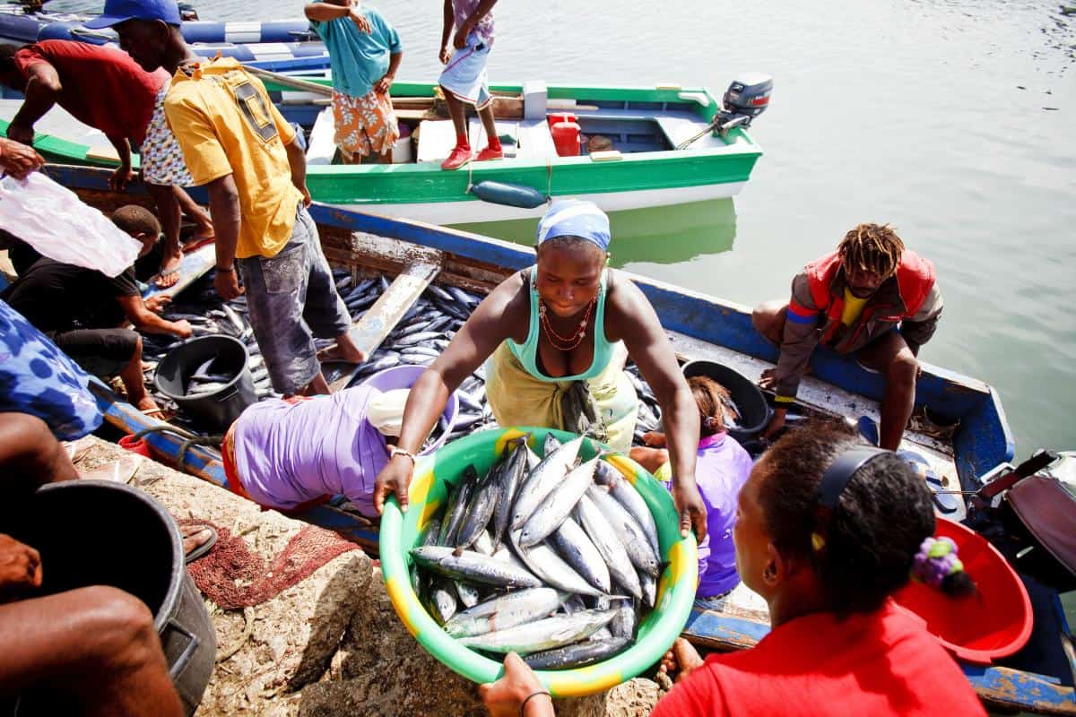 Unloading fish in Palmeria on Cape Verde. Photo Arthur Smeets