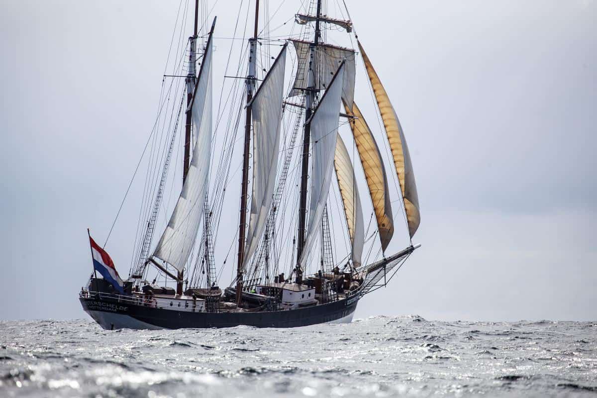 Sail on Oosterschelde with Classic Sailing