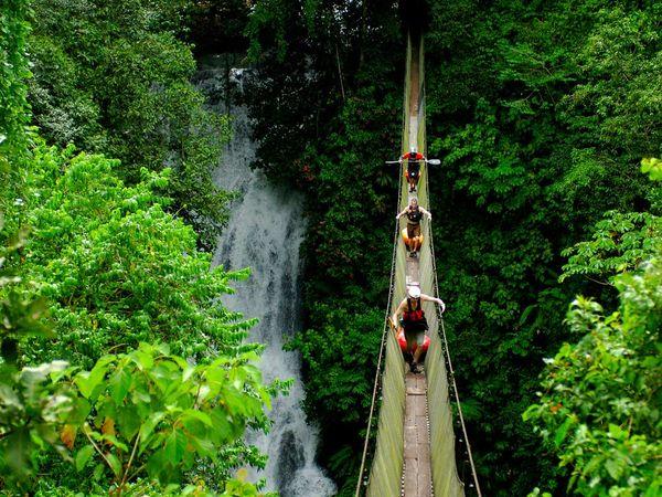 rope bridges and waterfalls in the jungle