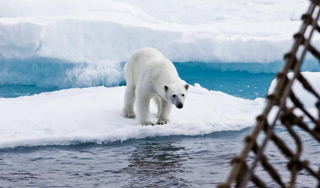 Sailing the Northwest Passage - Classic Sailing