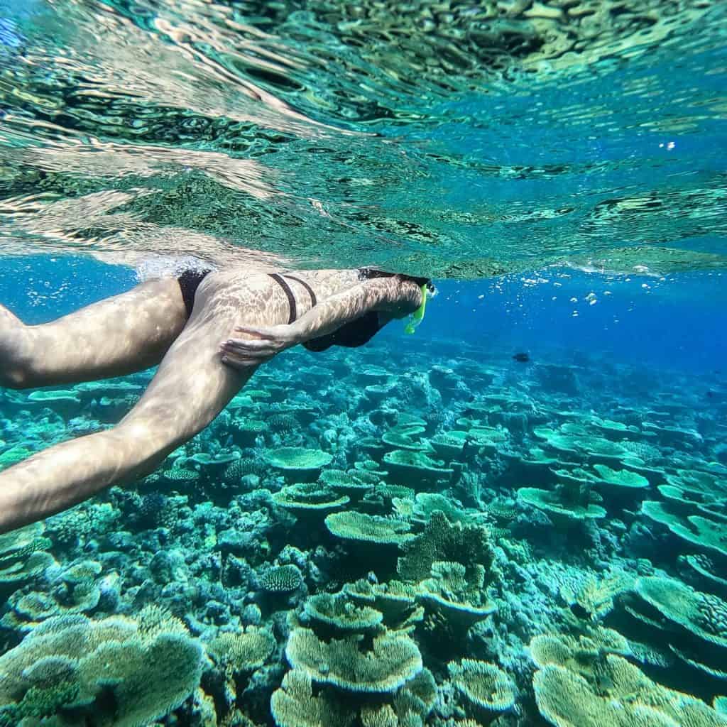 Buccoo Reef Snorkelling - The Caribbean on a Tall Ship Sailing Morgenster with Classic Sailing