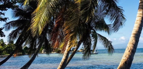 Tropical beaches and palm trees - The Caribbean on a Tall Ship Sailing Morgenster with Classic Sailing