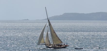 Tallulah sailing in Cornwall