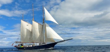 Sail on Blue Clipper with Classic Sailing