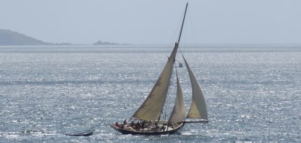 Sail Tallulah in Cornwall