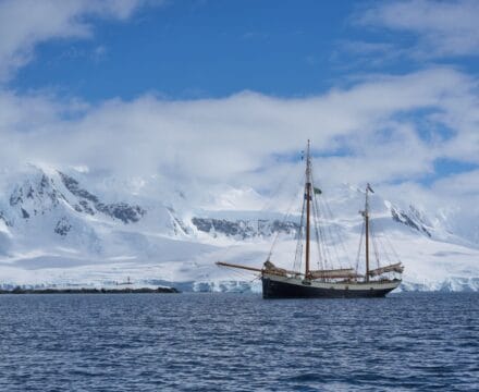 Wide shot Tecla anchored with snowy mountains antarctica south georgia adventures