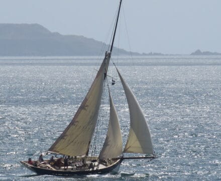 Sail on Pilot Cutter Tallulah, great taster voyages.
