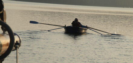 rowing number 8 - clinker rowing tender